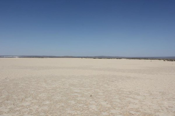 Harper.Dry.Lake.11