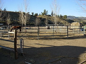 Carousel Ranch 008e