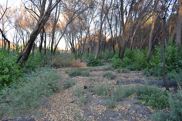 Polsa.Rosa.ranch.Buildings.31
