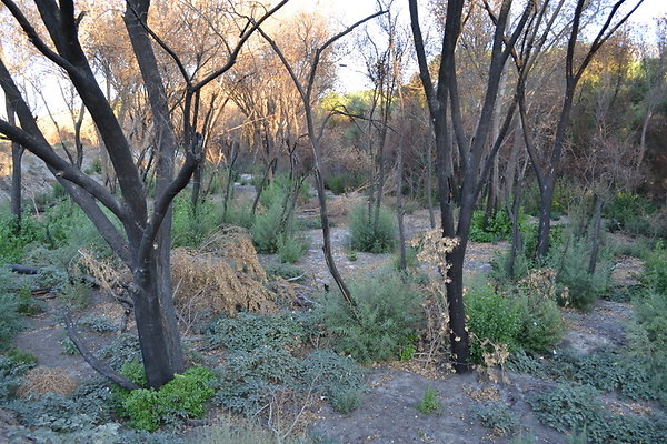Polsa.Rosa.ranch.Buildings.28
