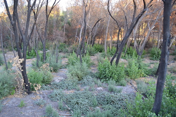 Polsa.Rosa.ranch.Buildings.29