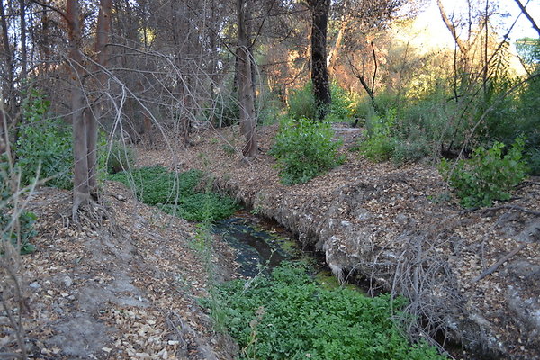 Polsa.Rosa.ranch.Buildings.32