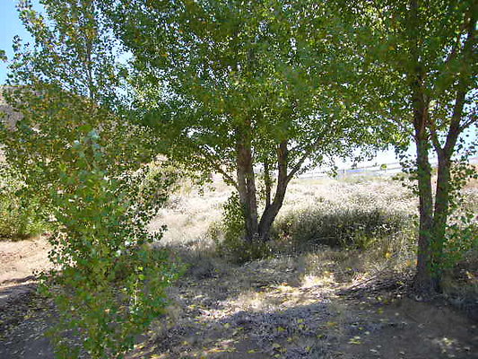 P1100221-1411589823-O