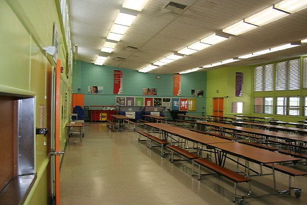 IMG 0342