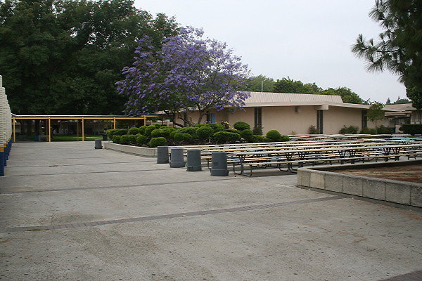 IMG 0127