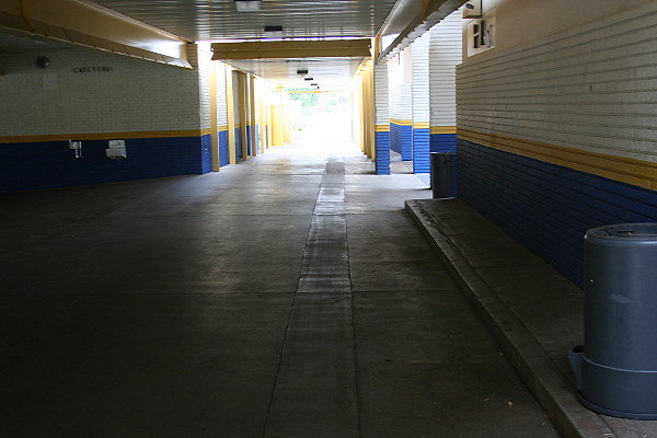 IMG 0117
