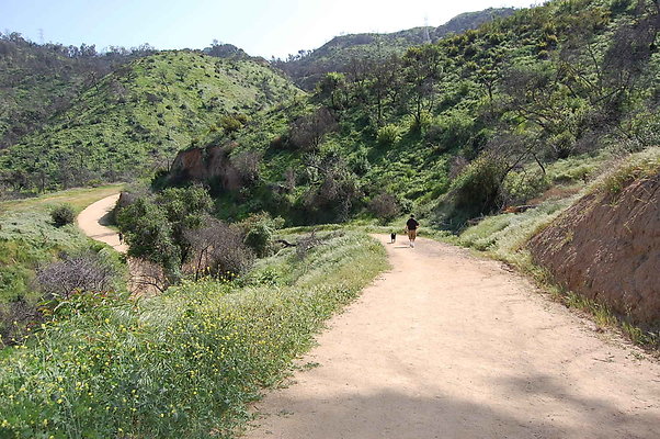 Upper Trail Above Merry Go Round.Griffith Park