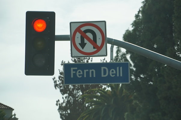 Fern.Dell.GP.01