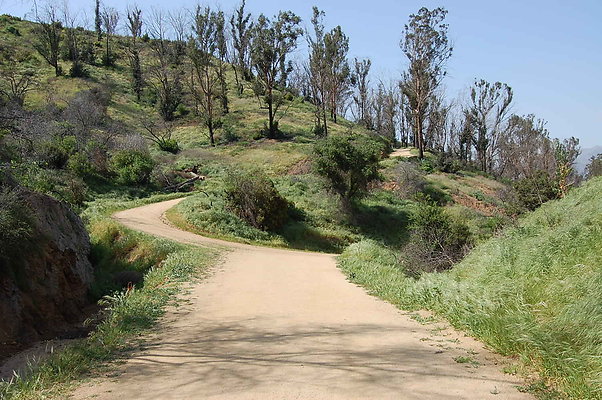 Trail That Forks South above Merry Go Round Parking Lot