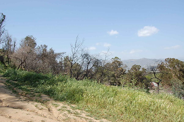DSC 0507