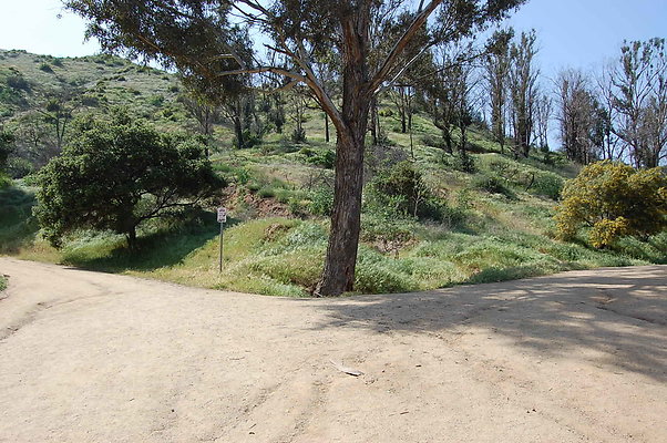 DSC 0506