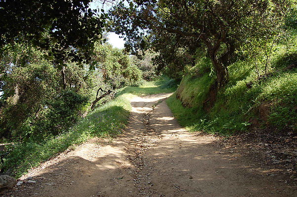 Griffith Park Campground Trail