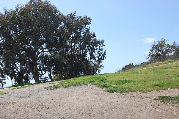 Hill Above Vista Pad.Griffith Park