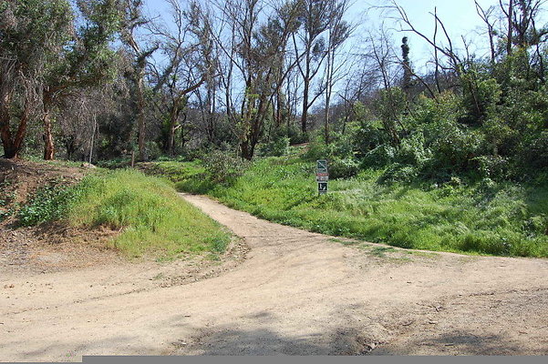 Trails by Merry Go Round Lot 1.Griffith Park