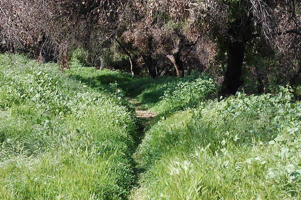 DSC 0489