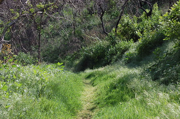 DSC 0488