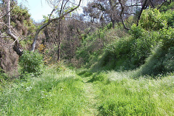 DSC 0498