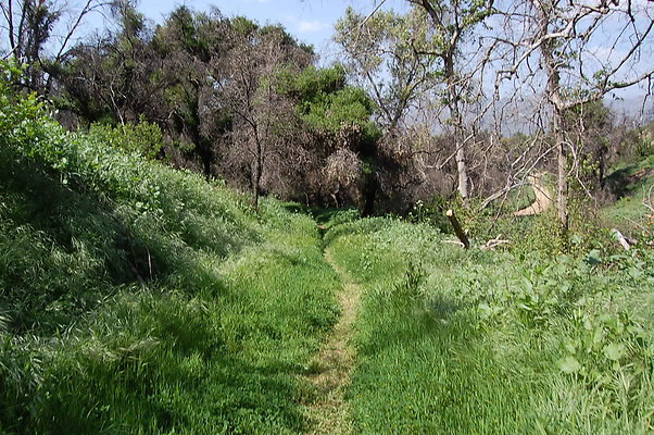 DSC 0499