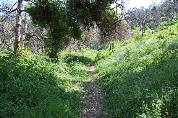 DSC 0501