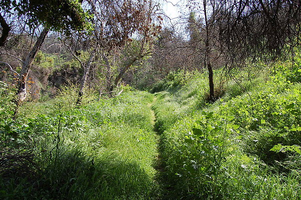 DSC 0486