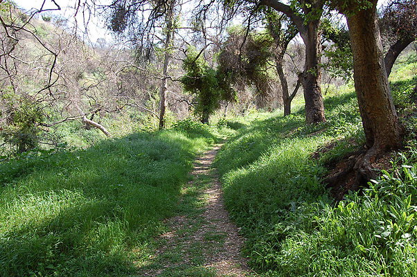 Right Fork Trail.Griffith Park Merry go Round
