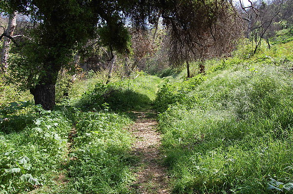 DSC 0485