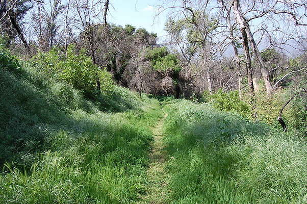 DSC 0494