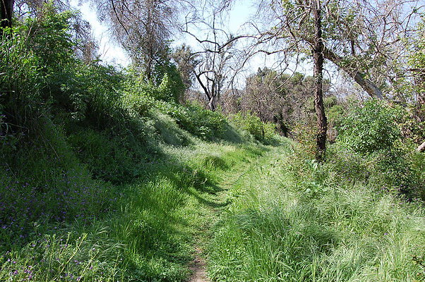 DSC 0496