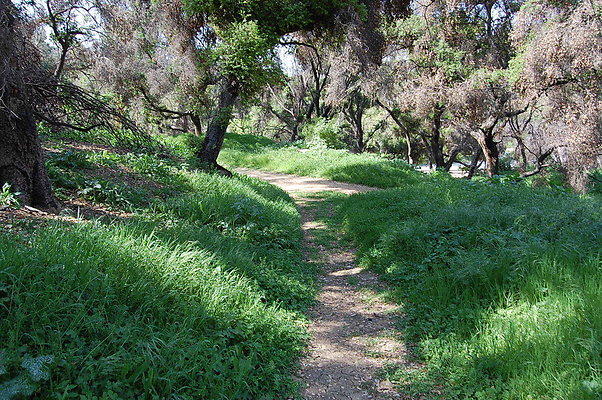 DSC 0500