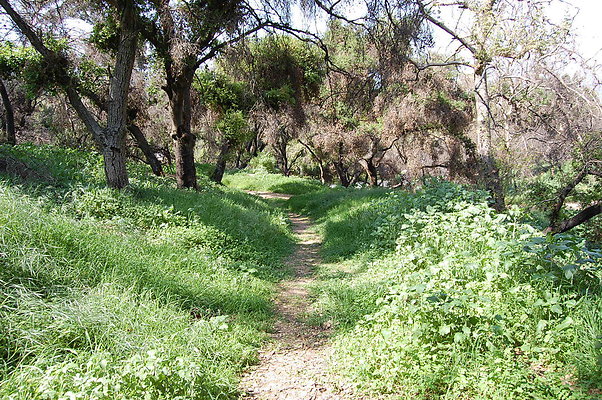 DSC 0487