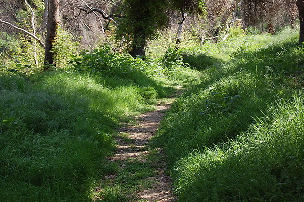DSC 0482