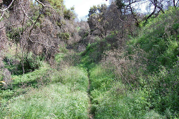 DSC 0495