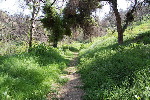 DSC 0484