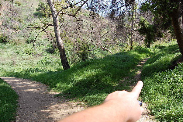 DSC 0453