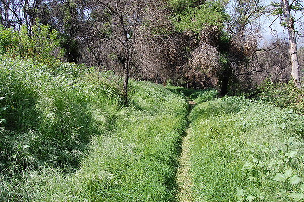 DSC 0490