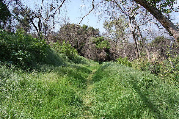 DSC 0497