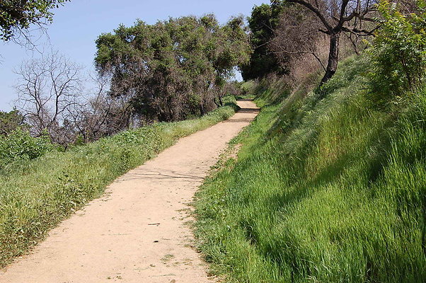 DSC 0464