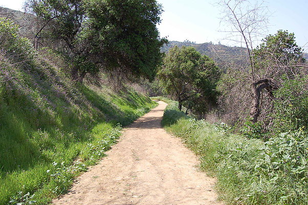 DSC 0472