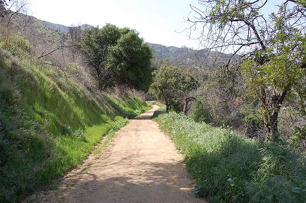 DSC 0476
