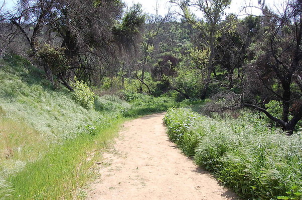 DSC 0459