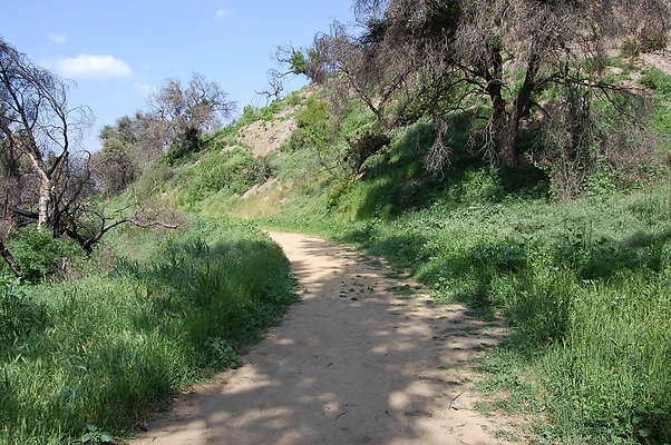 Left Fork Trail.Griffith park Merry go round