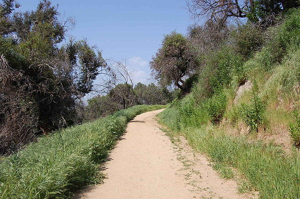 DSC 0460
