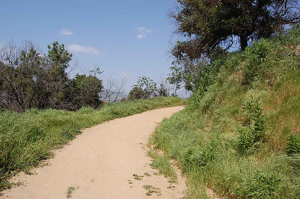DSC 0461