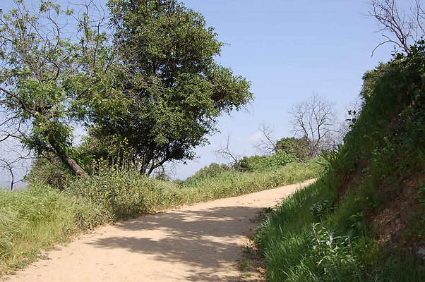 DSC 0463