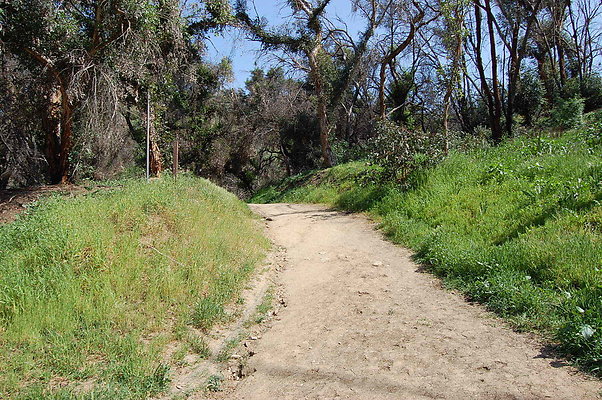 DSC 0445