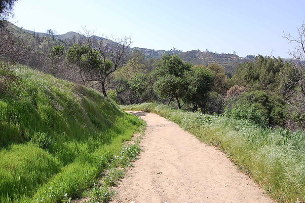DSC 0469