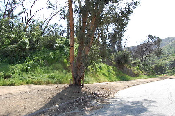 DSC 0441