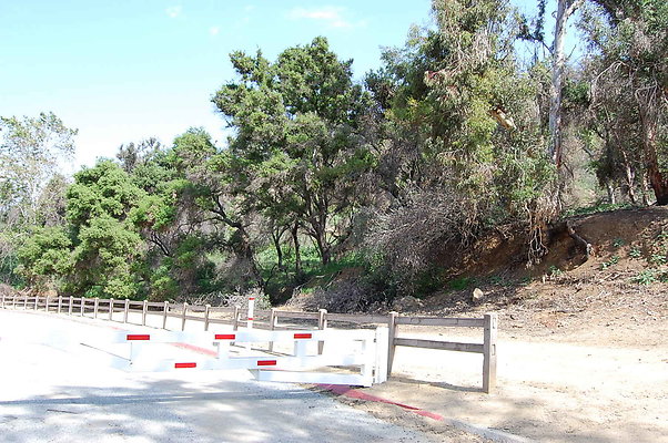 DSC 0439