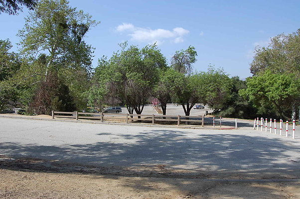 DSC 0443