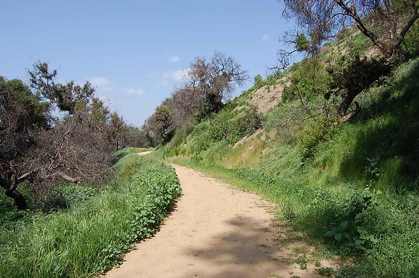 DSC 0455